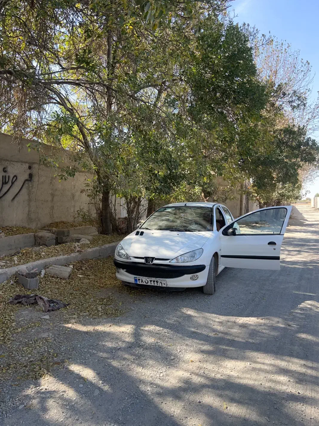 پژو 206 تیپ 2 - 1397