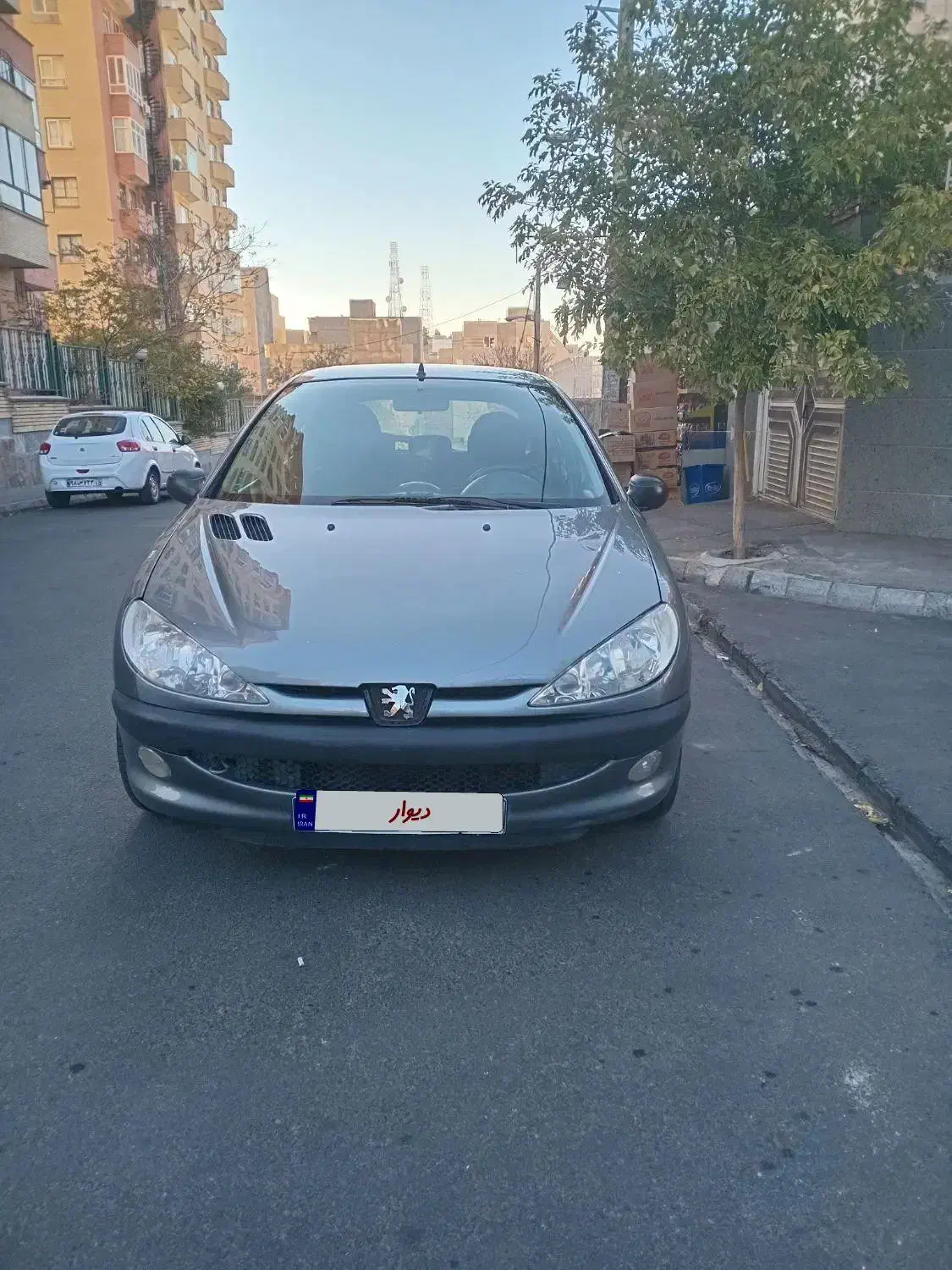 پژو 206 تیپ 2 - 1388