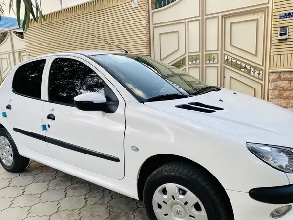 پژو 206 تیپ 2 - 1391