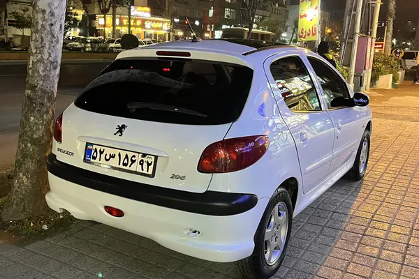 پژو 206 تیپ 3 پانوراما - 1401