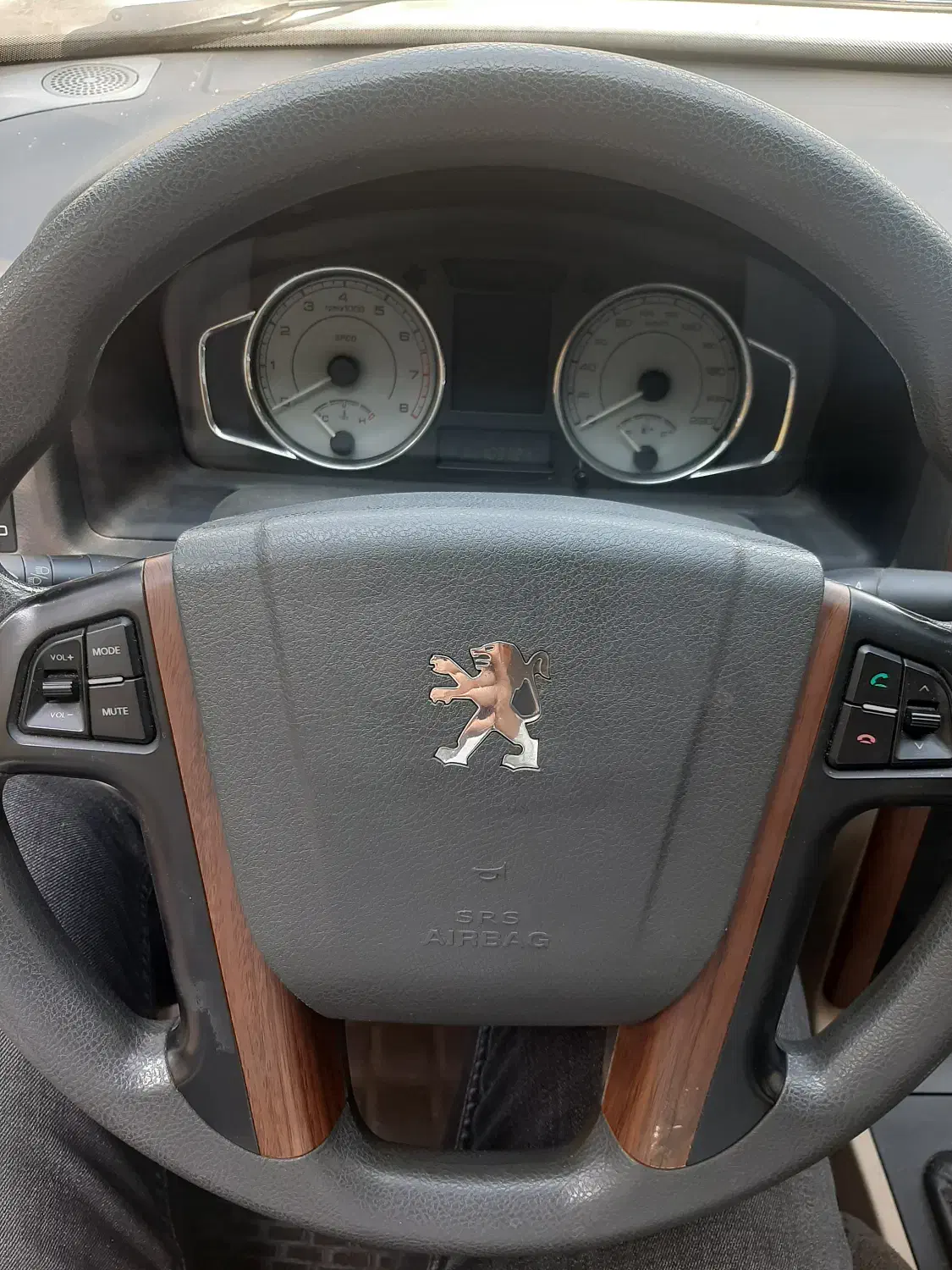 پژو پارس سال - 1395