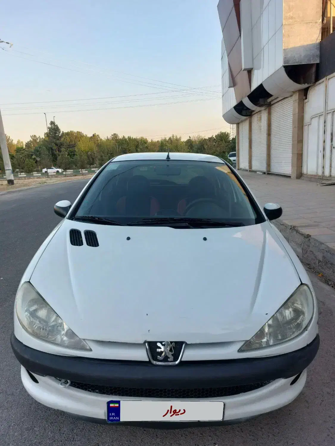 پژو 206 تیپ 2 - 1391