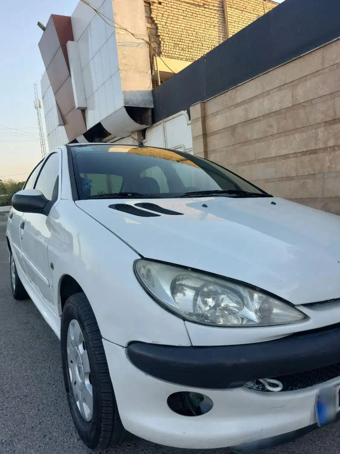 پژو 206 تیپ 2 - 1391