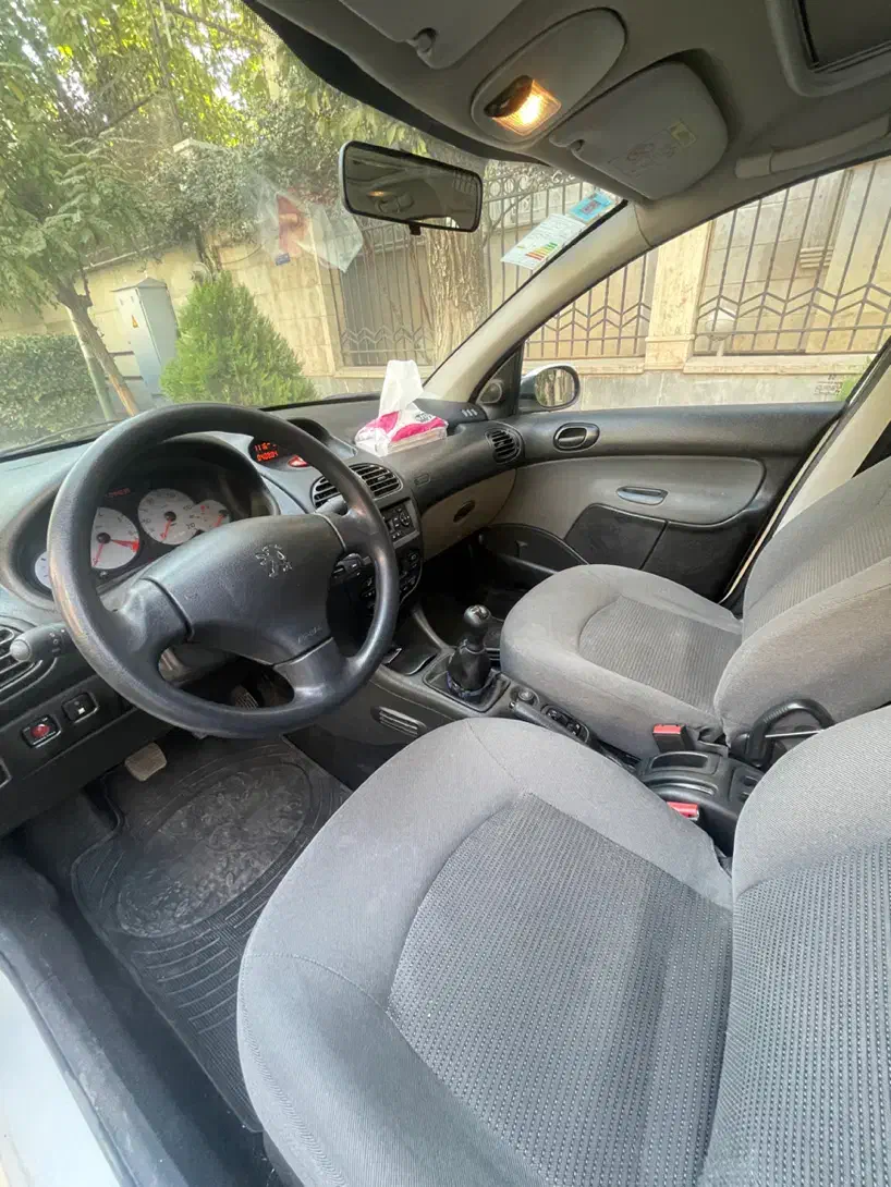 پژو 206 تیپ 3 پانوراما - 1401