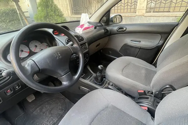 پژو 206 تیپ 3 پانوراما - 1401