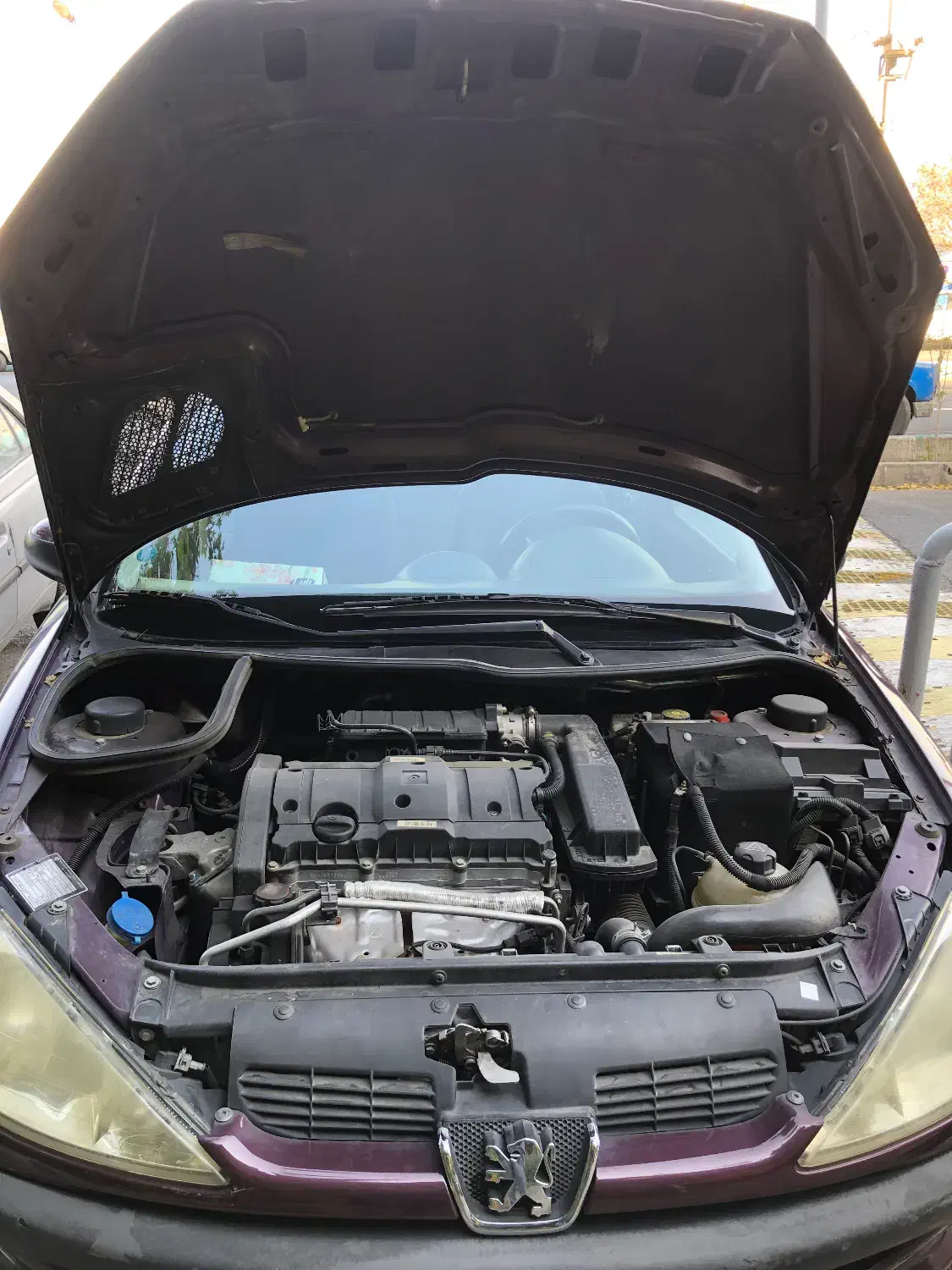 پژو ۲۰۶ صندوق دار v8 - 1394