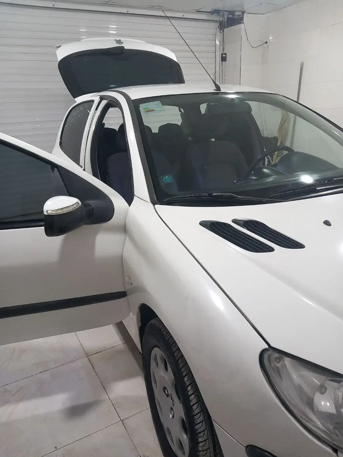 پژو 206 تیپ 2 - 1394