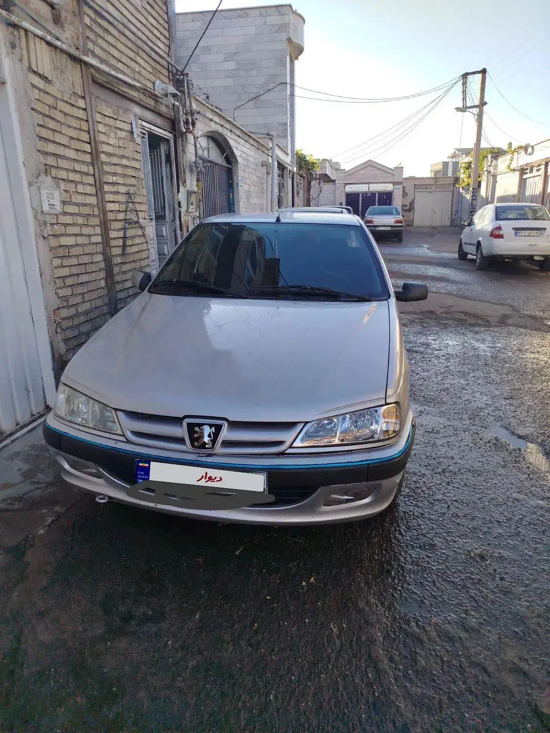 پژو پارس ELX-XU7P سفارشی - 1388