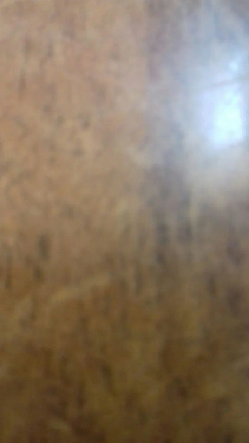 خودرو پراید، صبا آگهی ann_20989706