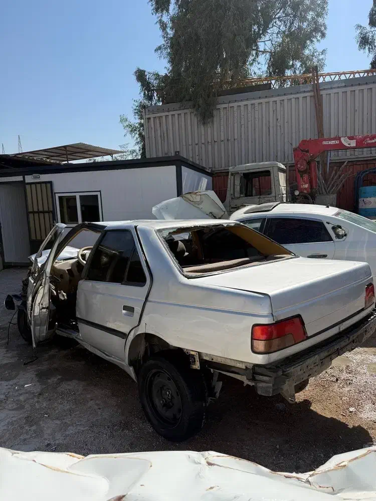 خودرو پژو، 405 آگهی ann_20989728