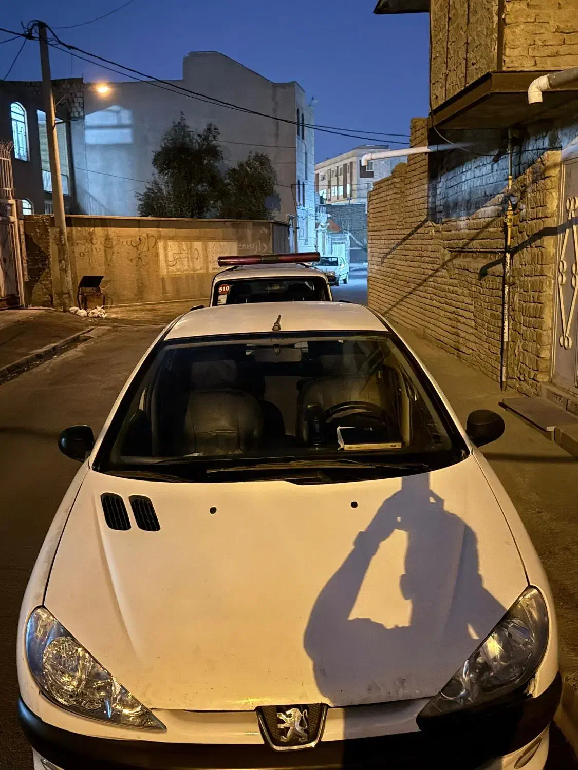 پژو 206 تیپ 2 - 1389