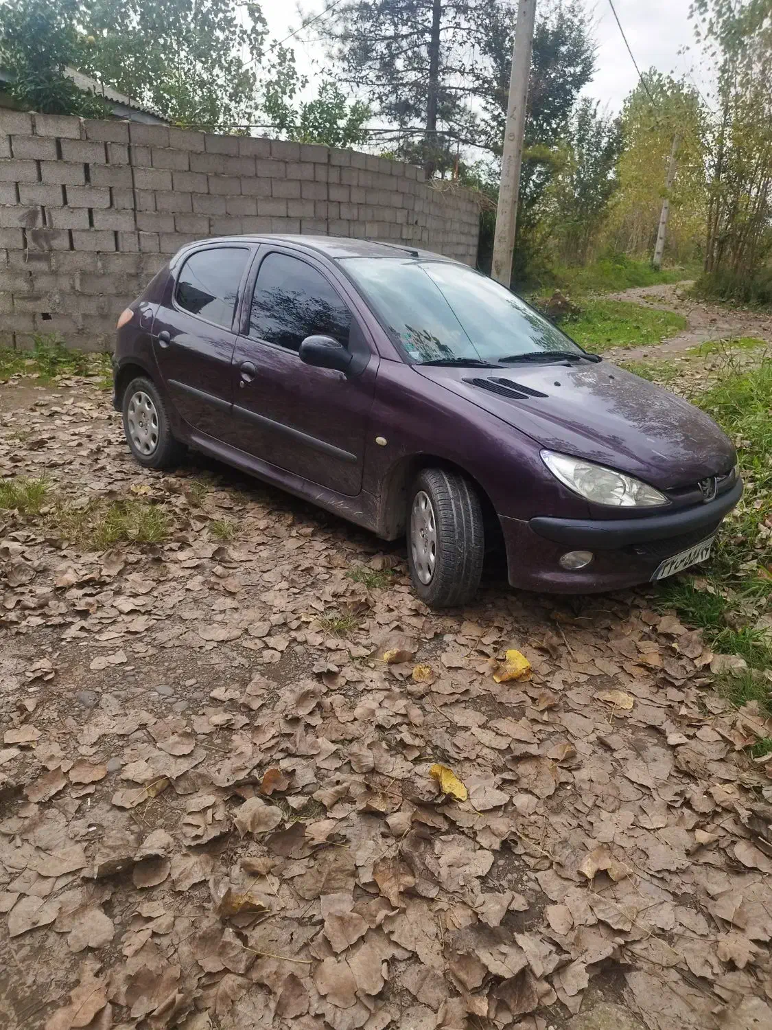 پژو 206 تیپ 2 - 1390