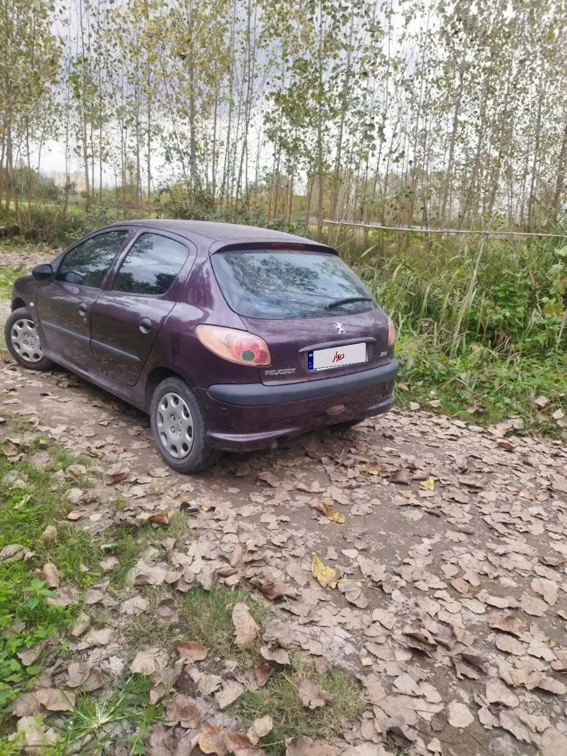 پژو 206 تیپ 2 - 1390