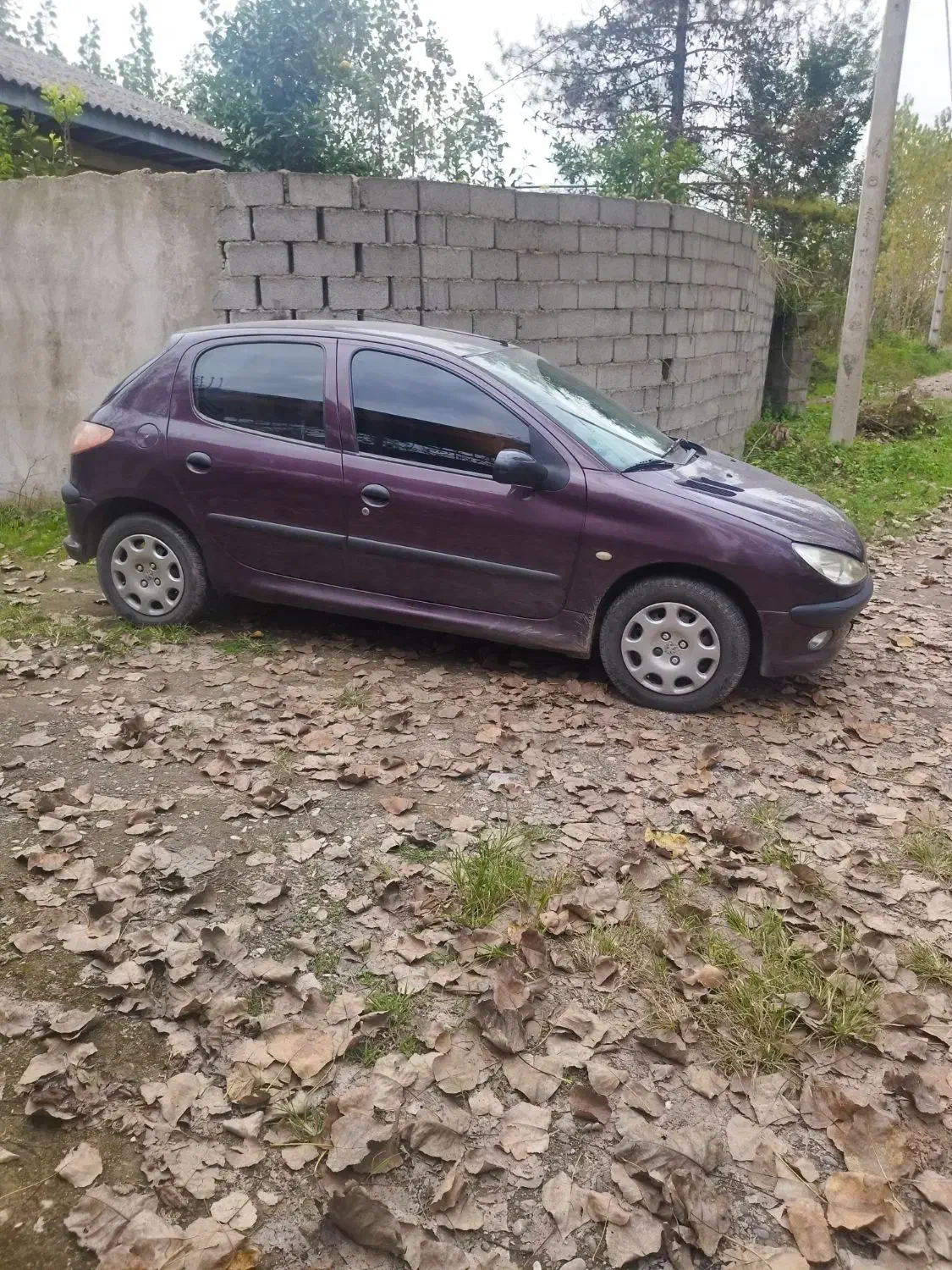 پژو 206 تیپ 2 - 1390