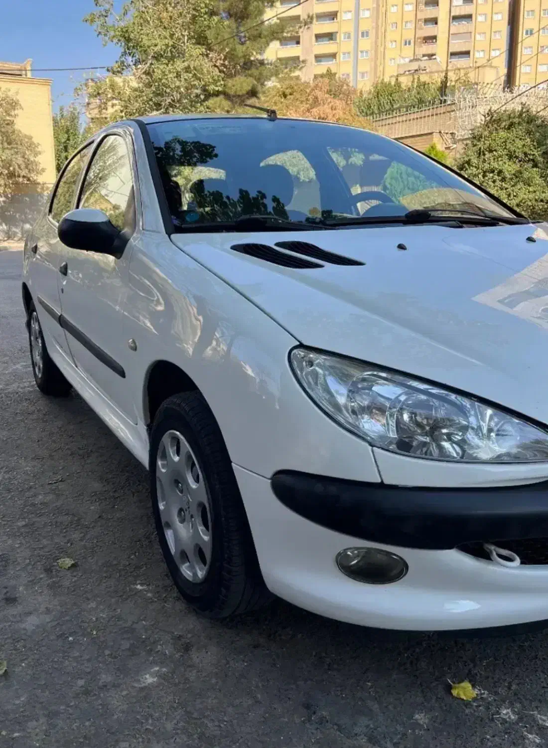 پژو 206 تیپ 5 - 1395