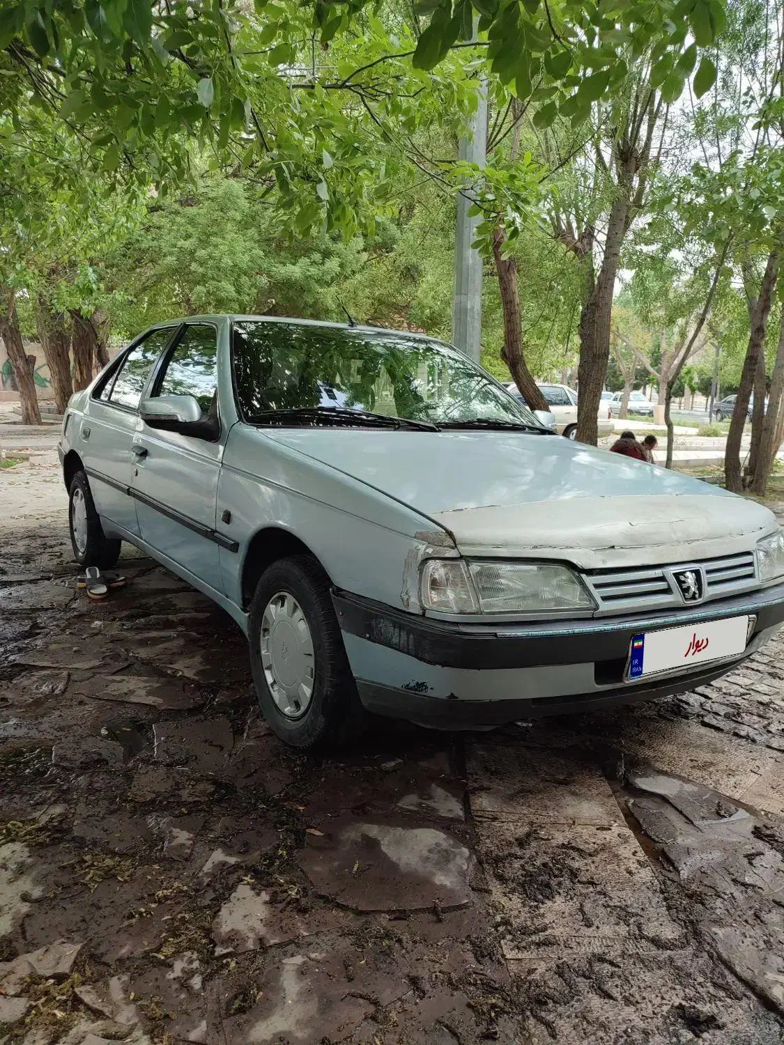 پژو روآ دوگانه سوز - 1387