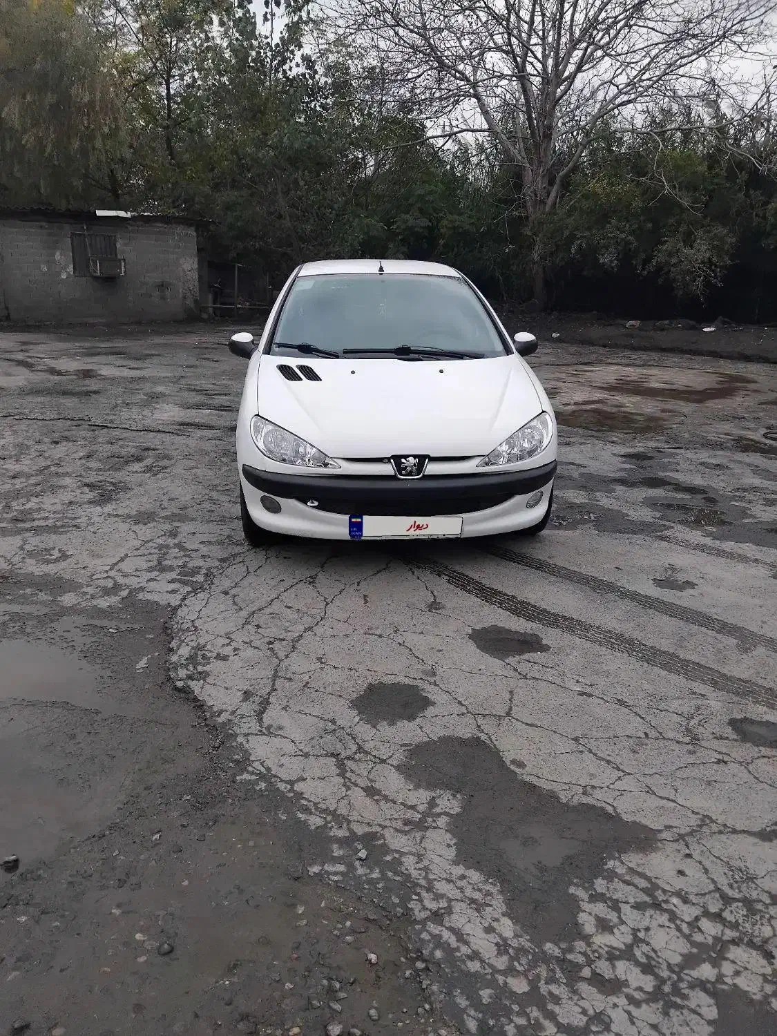پژو 206 تیپ 5 - 1393