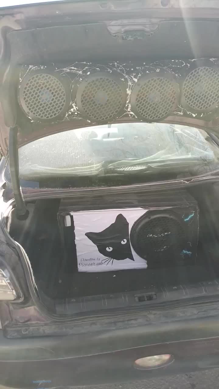 خودرو پژو، ۲۰۶ صندوق دار آگهی ann_20990814