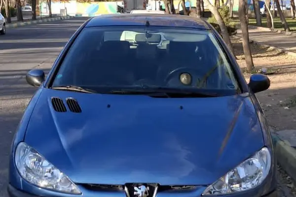 پژو 206 تیپ 5 - 1395