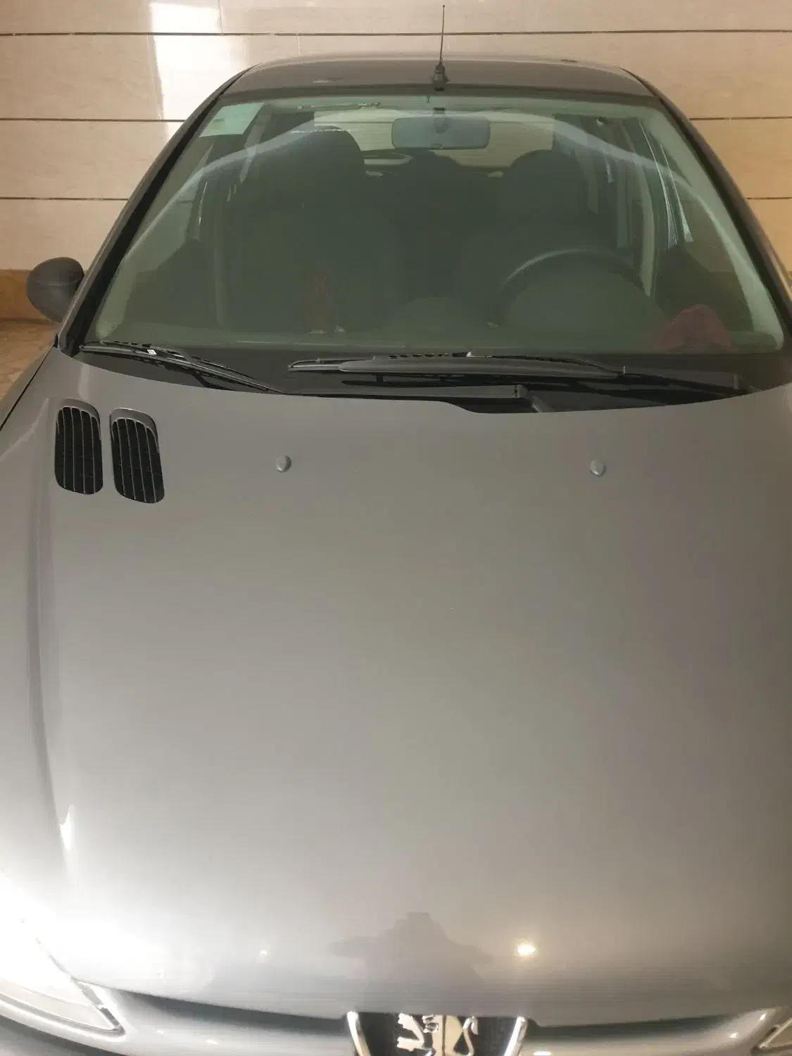 پژو 206 تیپ 2 - 1401