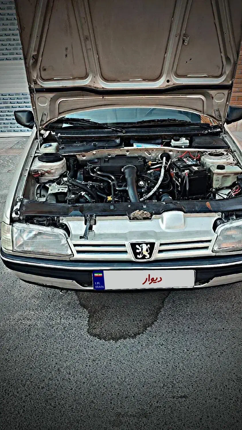 پژو 405 GLX - 1384