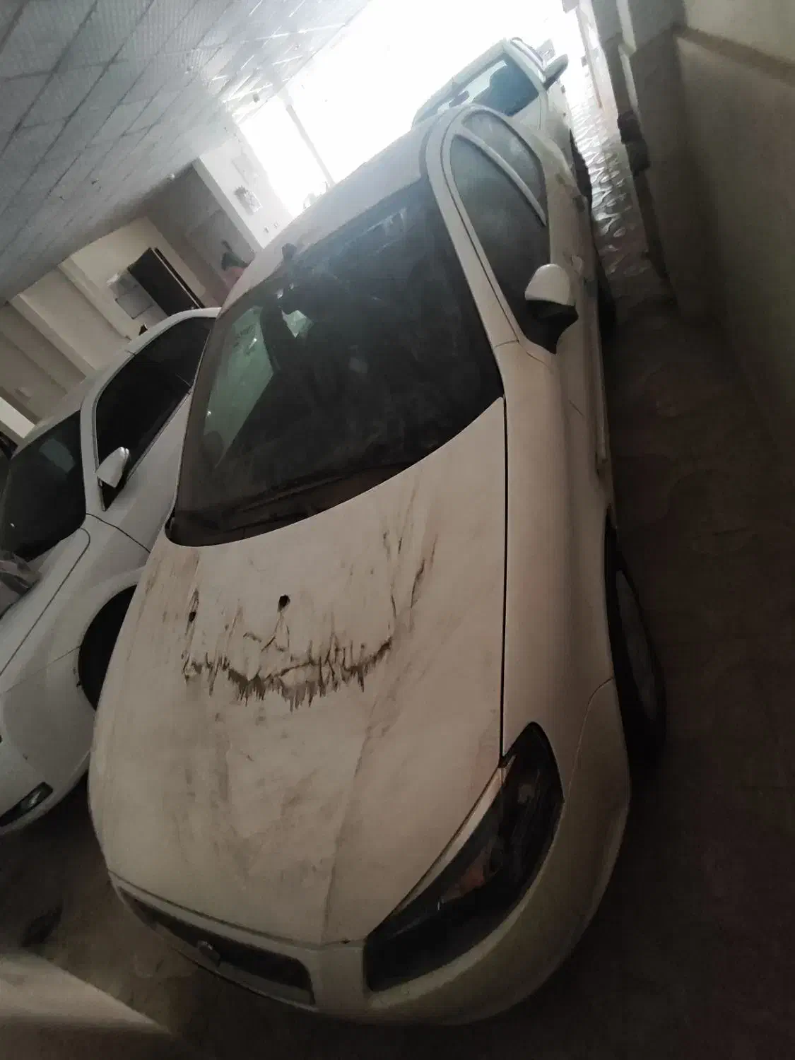 رانا پلاس سقف فلز - 1401