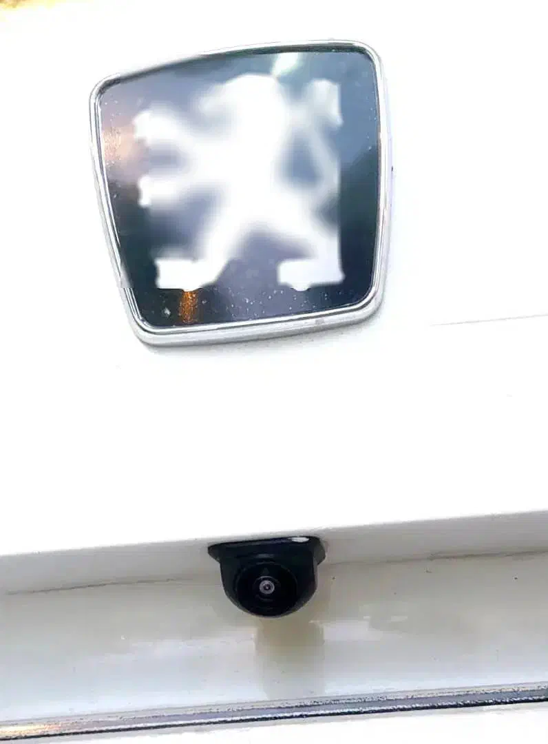 پژو پارس LX - 1394