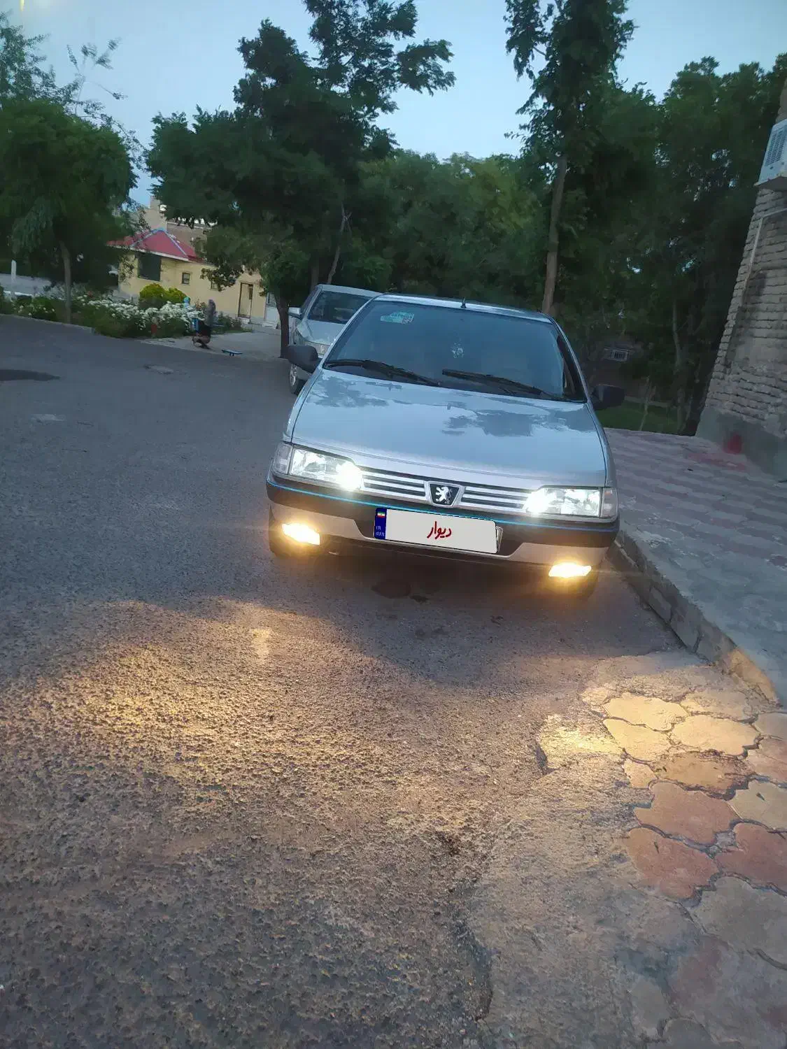 پژو 405 GLX - دوگانه سوز - 1389