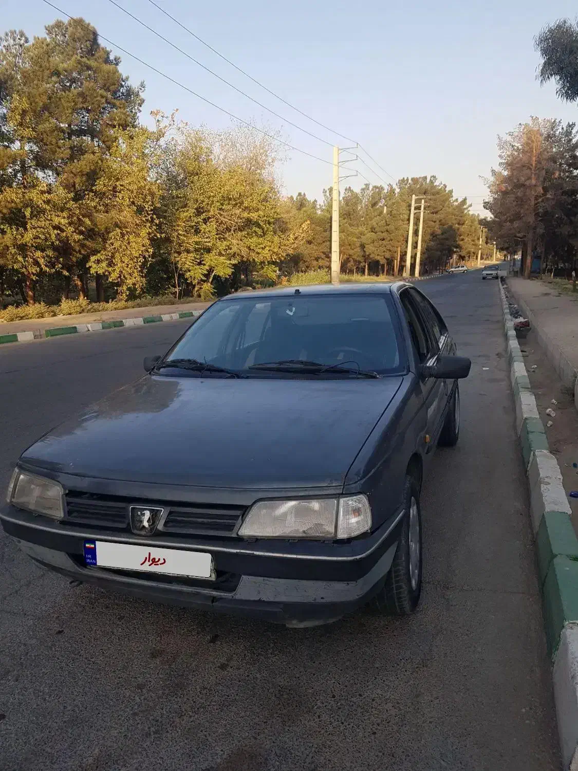 خودرو پژو، 405 آگهی ann_20992424