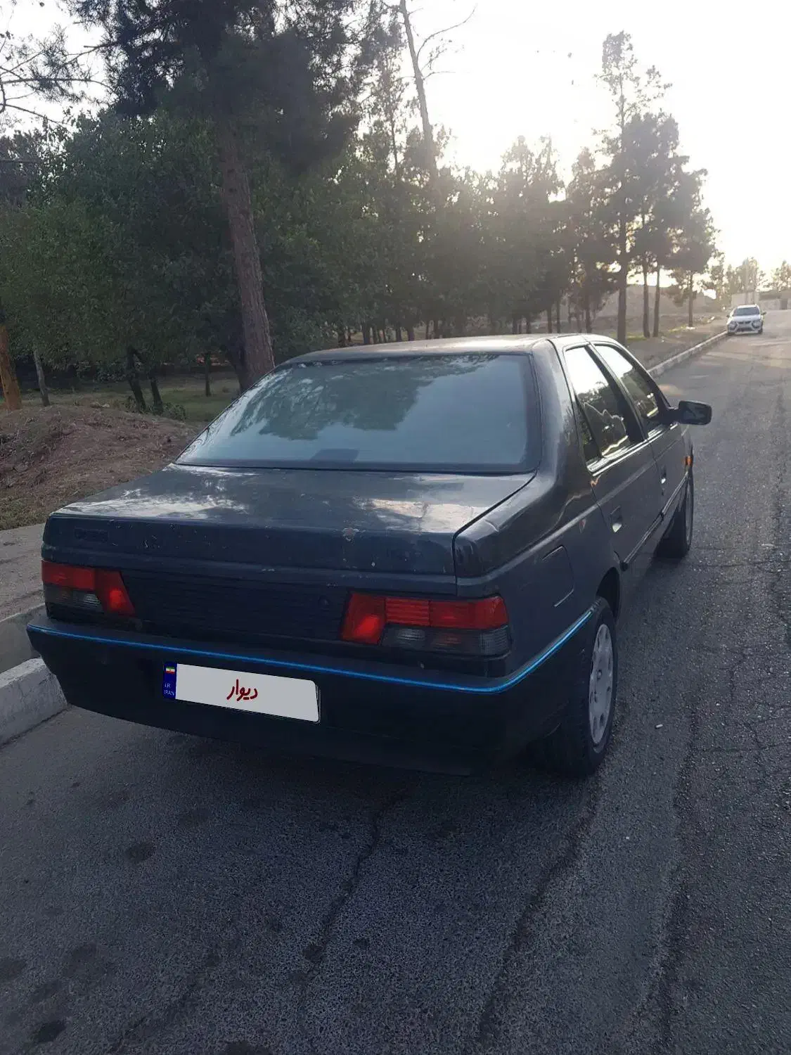 پژو 405 GLX - دوگانه سوز - 1385