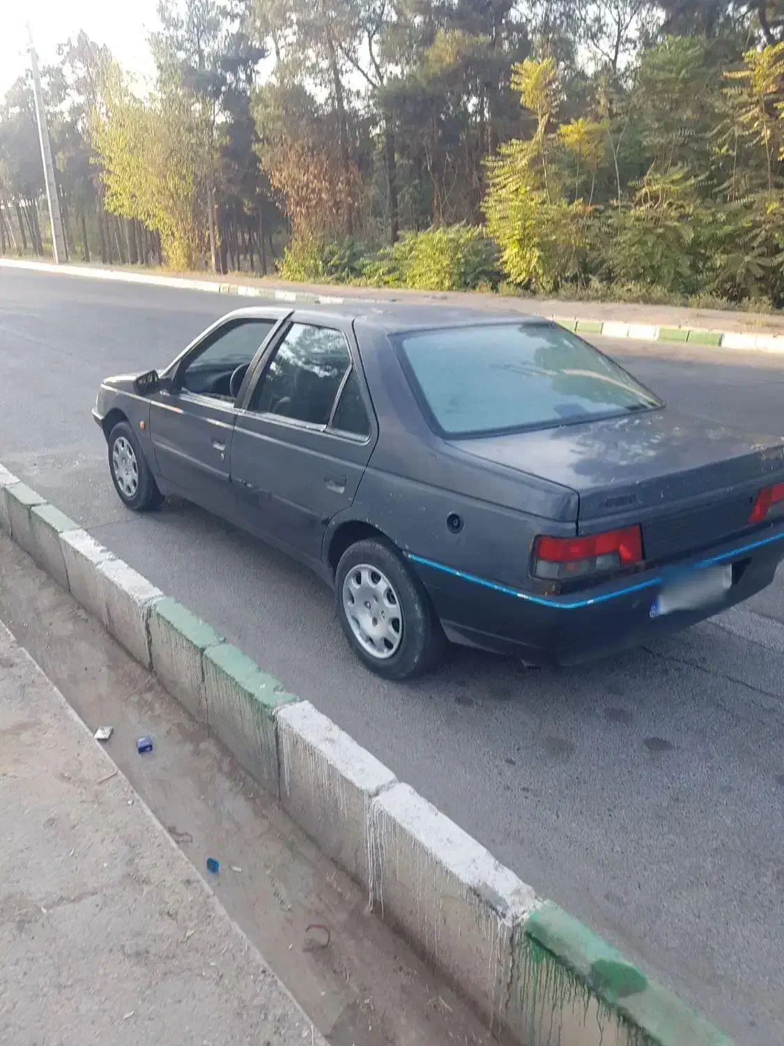 پژو 405 GLX - دوگانه سوز - 1385