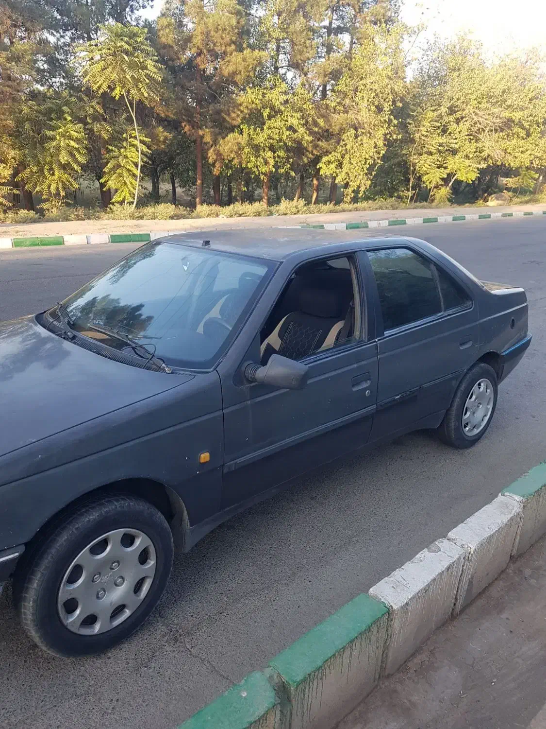 پژو 405 GLX - دوگانه سوز - 1385