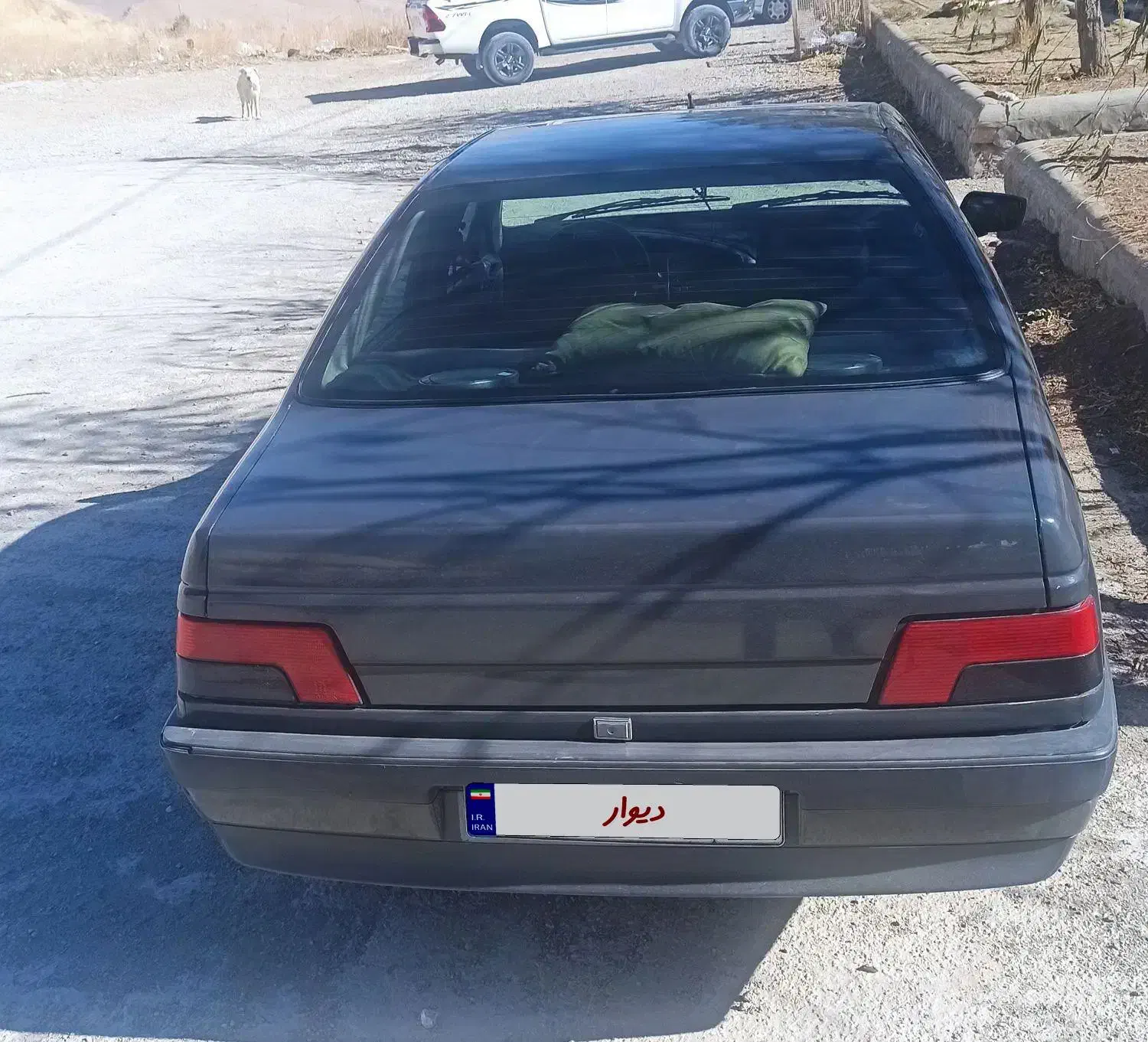 پژو 405 GLI - دوگانه سوز CNG - 1384