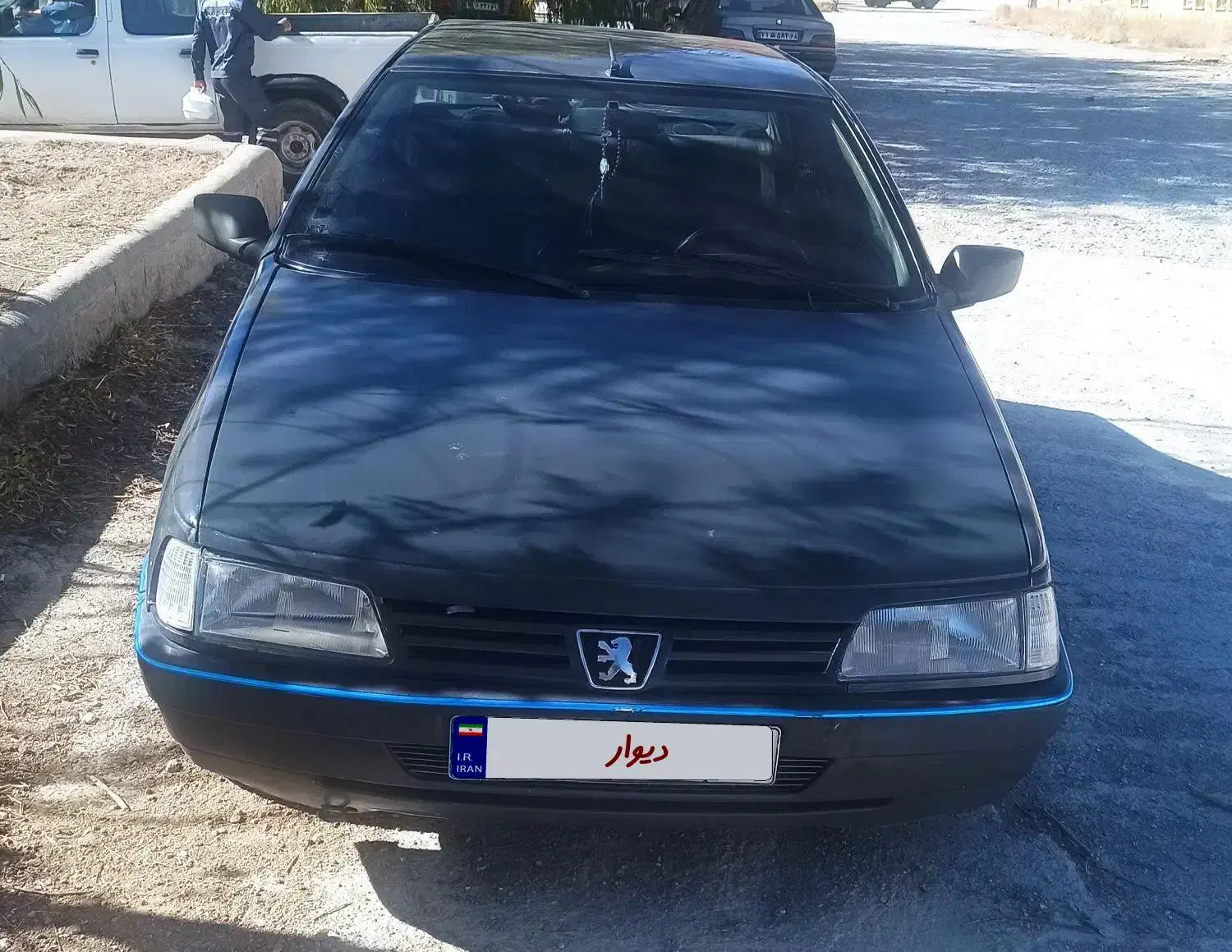 پژو 405 GLI - دوگانه سوز CNG - 1384