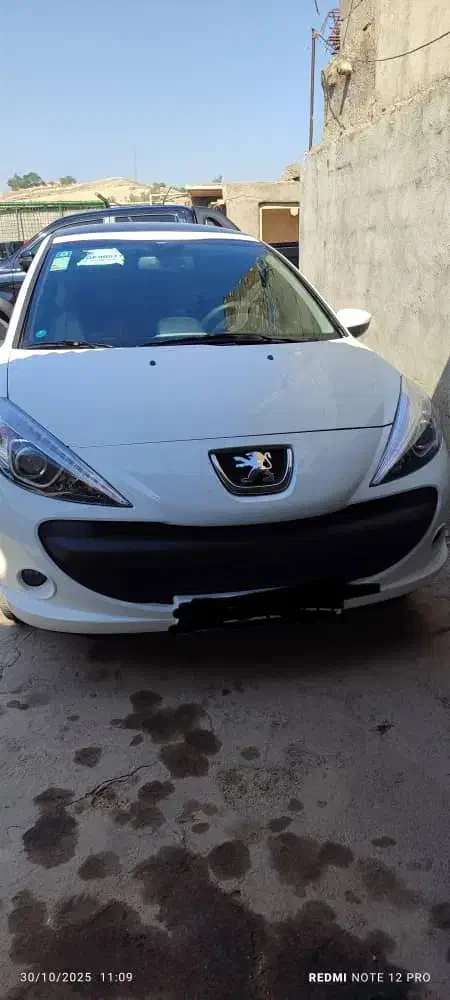 خودرو پژو، 207 آگهی ann_20992619