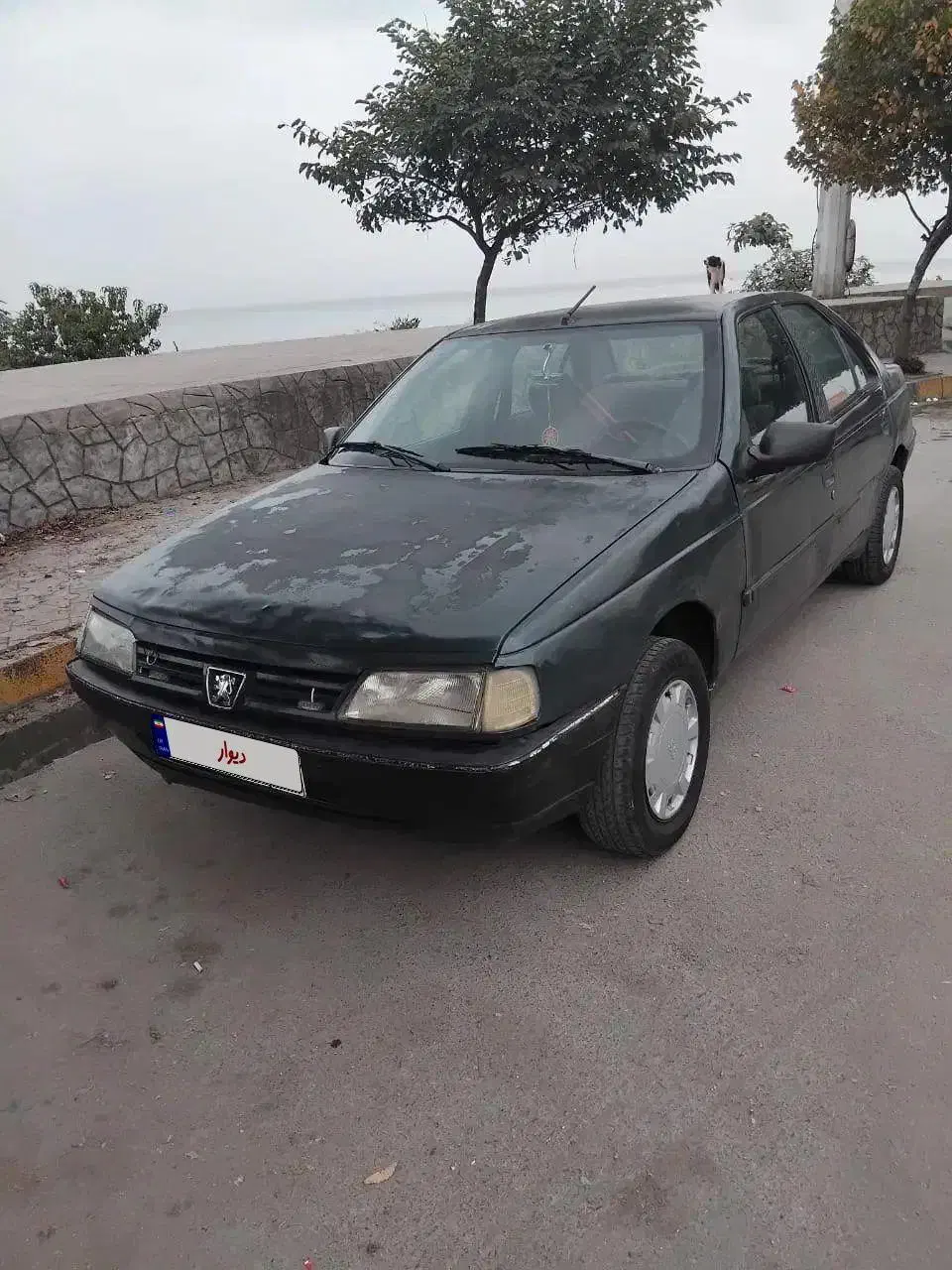 پژو آردی معمولی - 1384
