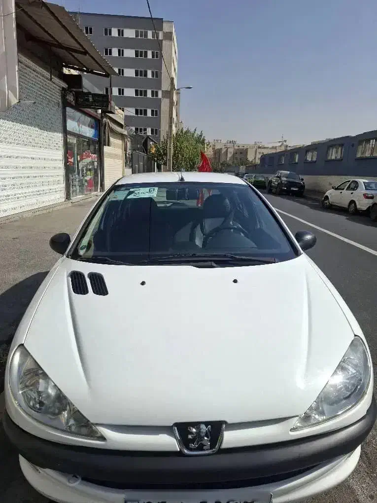 پژو 206 تیپ 2 - 1401