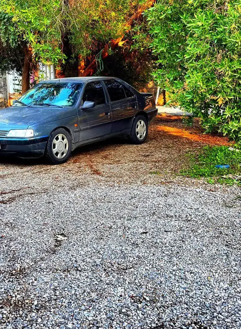 پژو 405 GLX - 1396