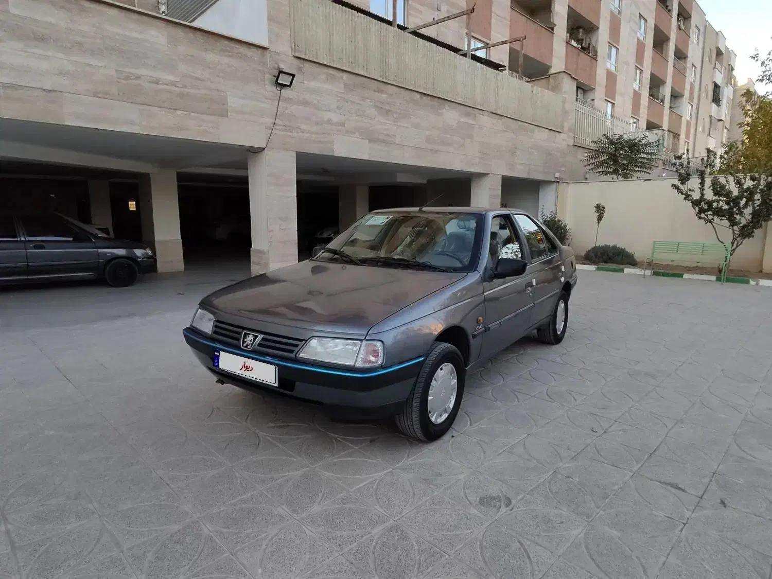 پژو 405 GLX - دوگانه سوز - 1395