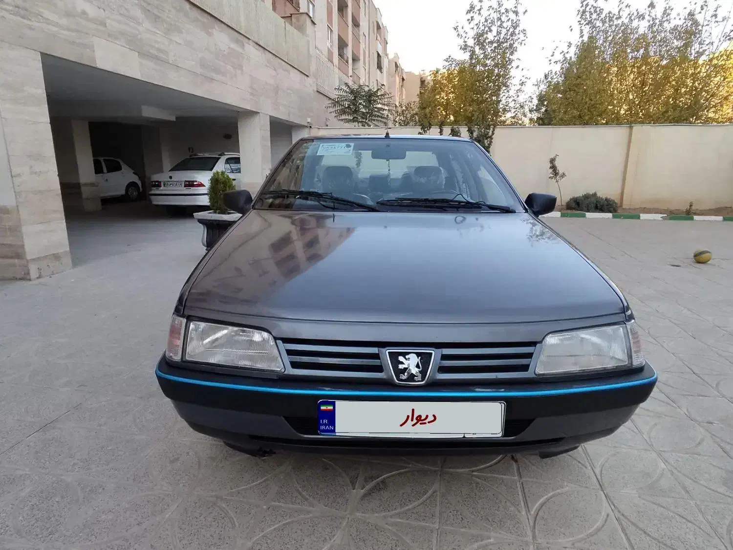 پژو 405 GLX - دوگانه سوز - 1395