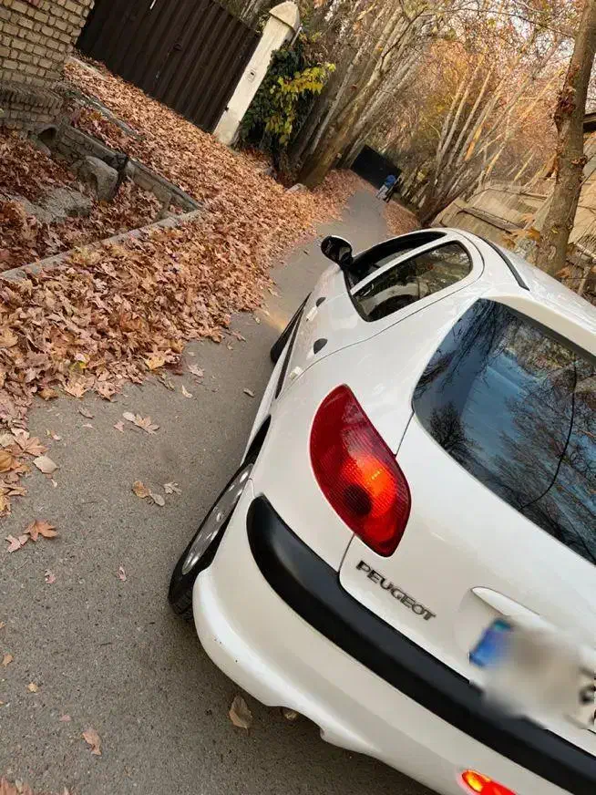 پژو 206 تیپ 2 - 1398