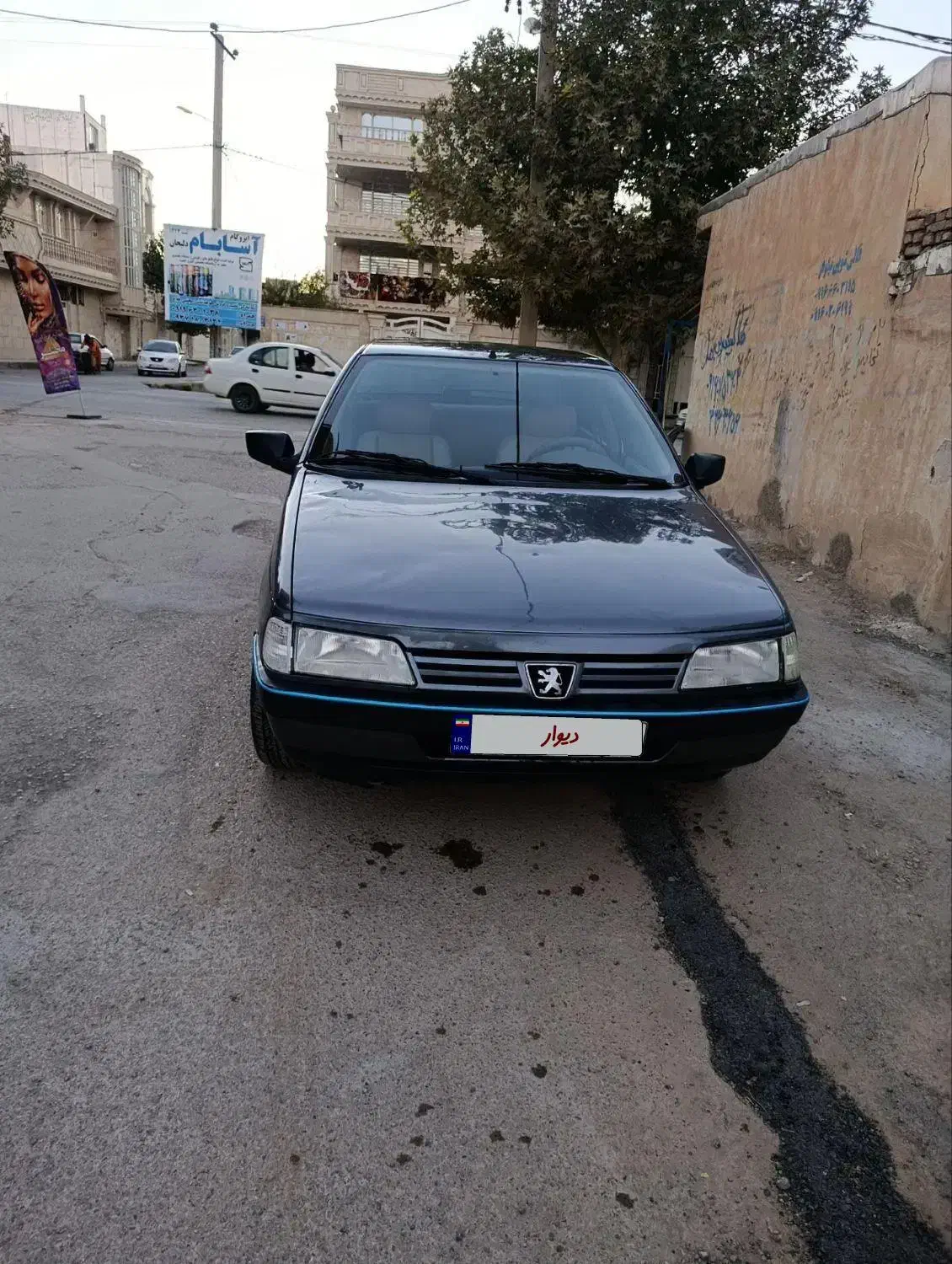 پژو 405 GLX - دوگانه سوز - 1394