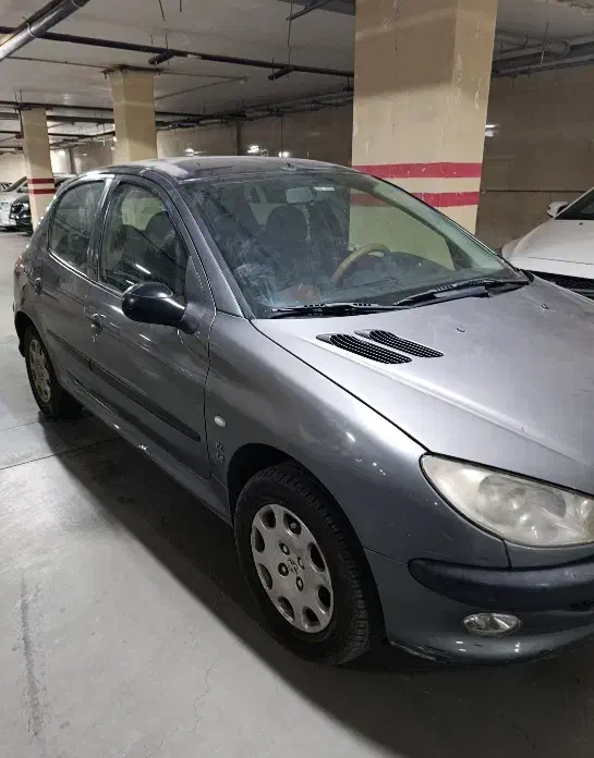 پژو 206 تیپ 5 - 1389