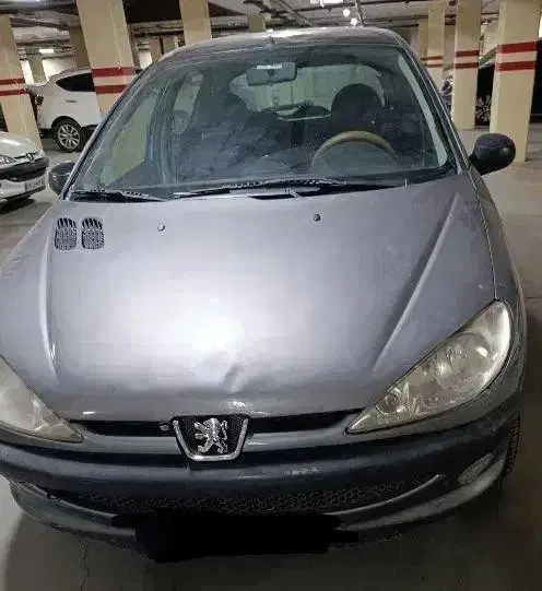 پژو 206 تیپ 5 - 1389