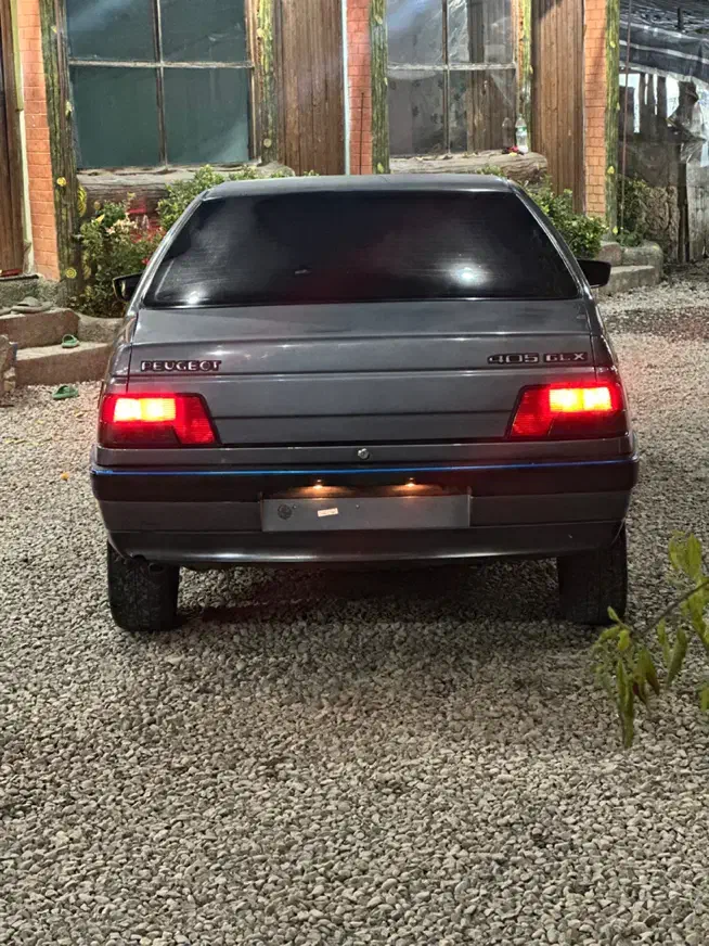 پژو 405 GLX - دوگانه سوز - 1396