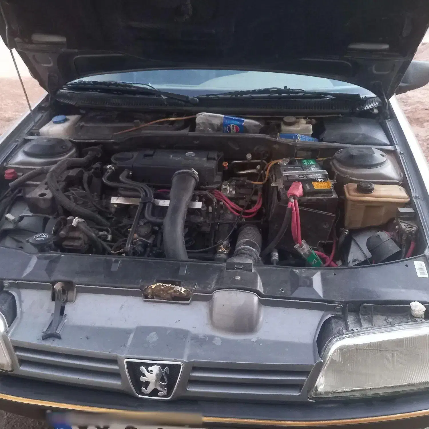 پژو 405 GLX - 1389