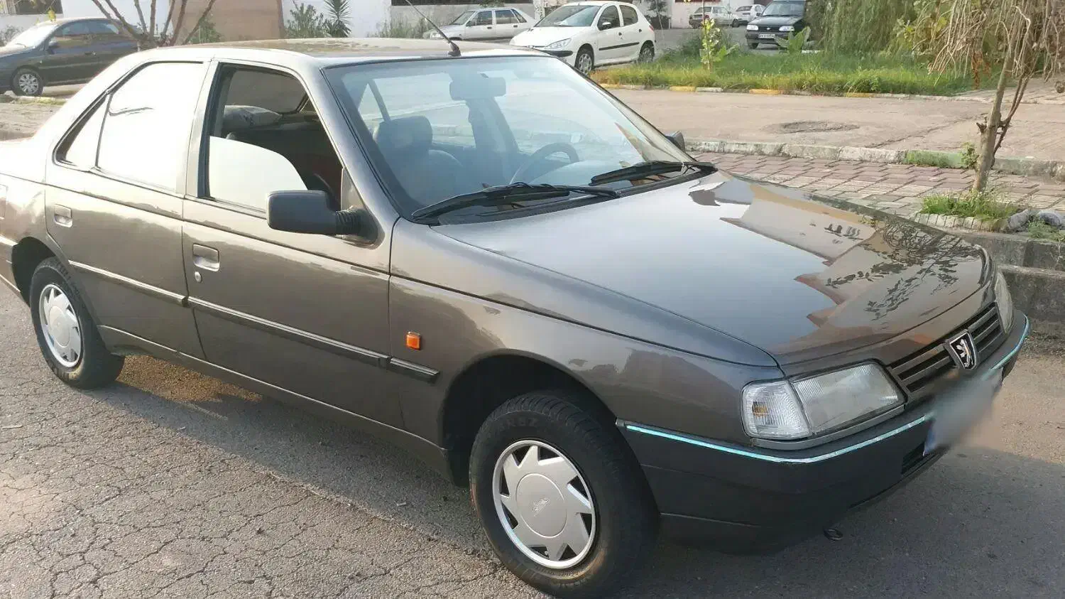 پژو روآ دوگانه سوز - 1386