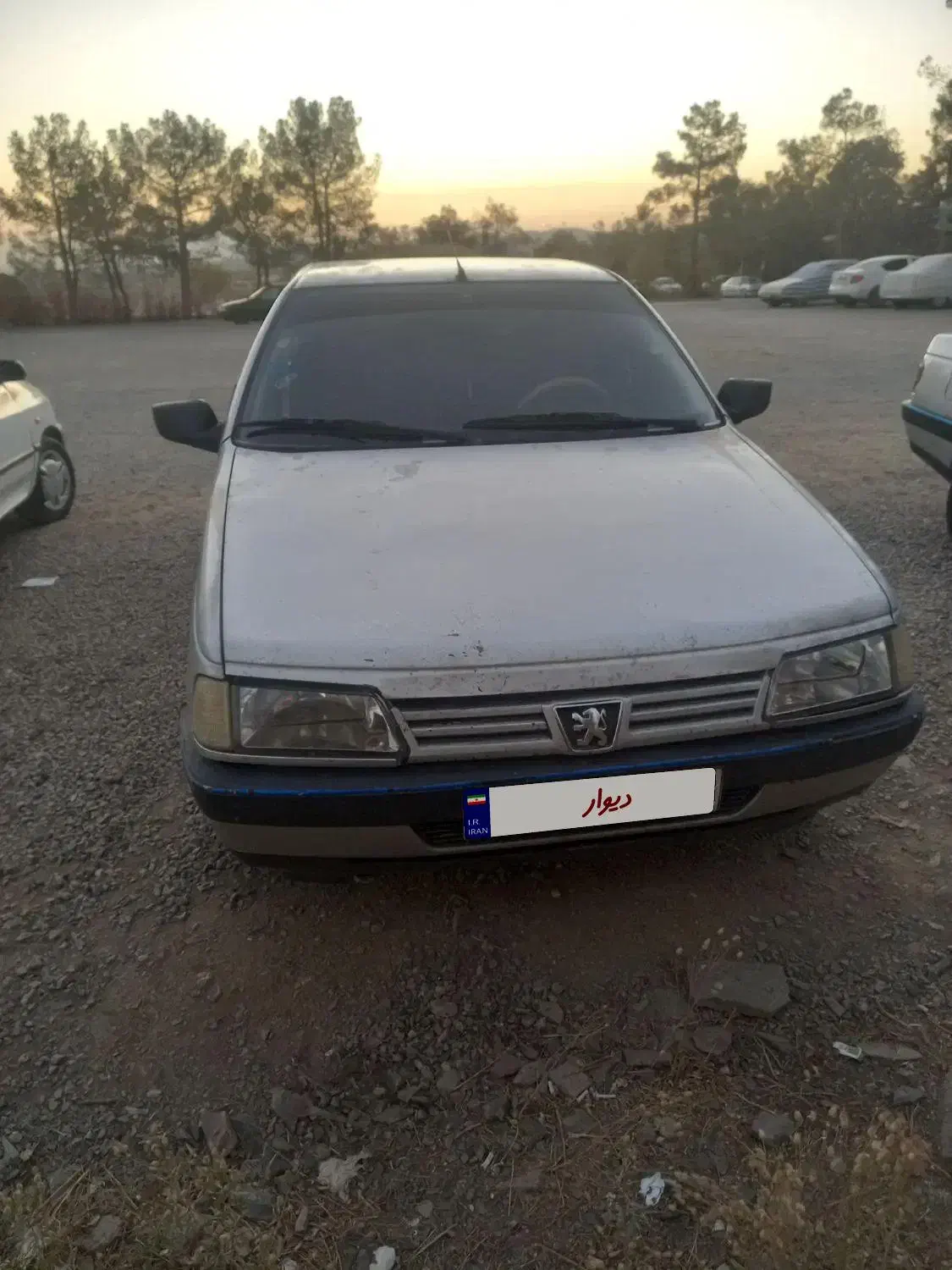 پژو 405 GLX - دوگانه سوز - 1386