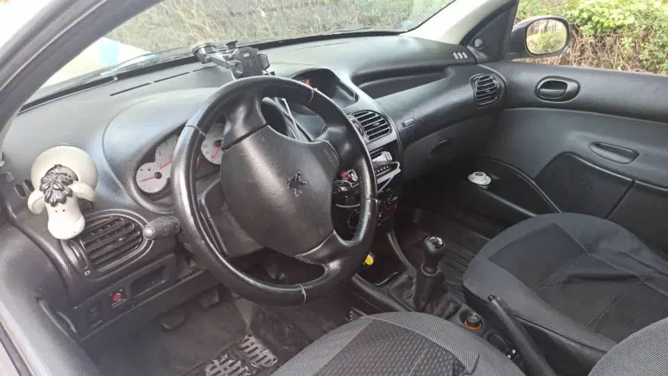 پژو 206 تیپ 2 - 1399