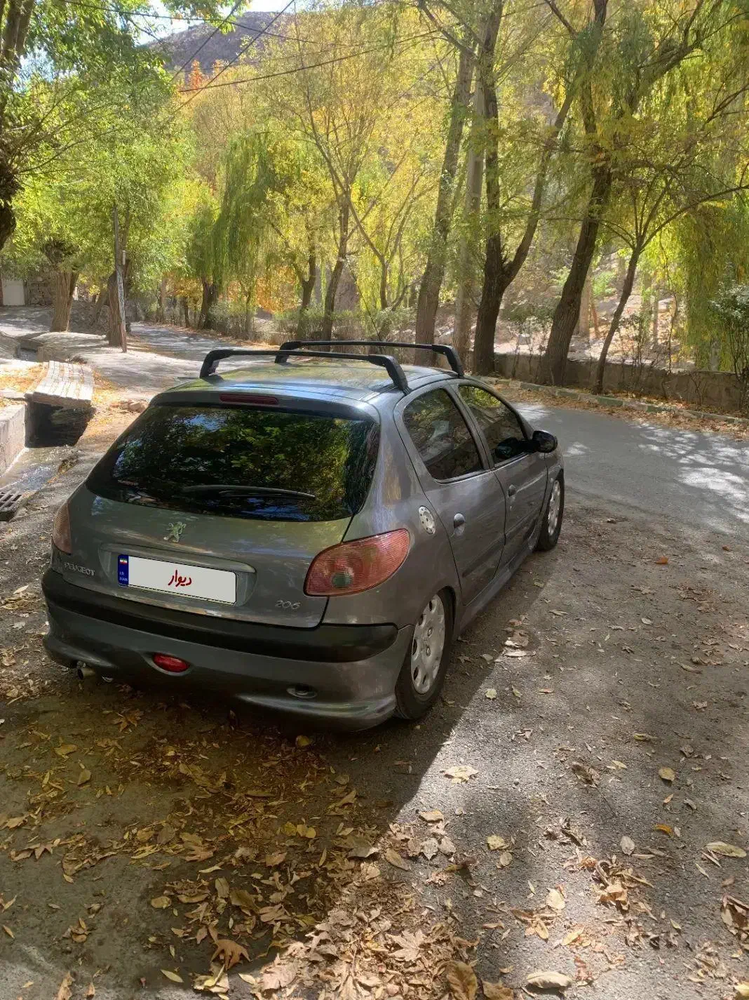 پژو 206 تیپ 2 - 1388